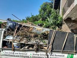 Best Hoarding Cleanup  in Five Points, NC